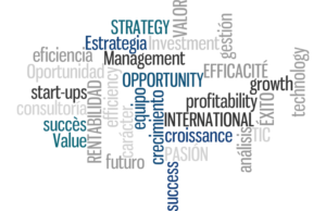 damaco quienes somos